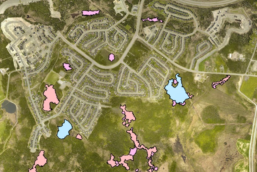 A screenshot of city council’s agenda shows wetlands in the Southlands area of St. John’s. -COMPUTER SCREENSHOT