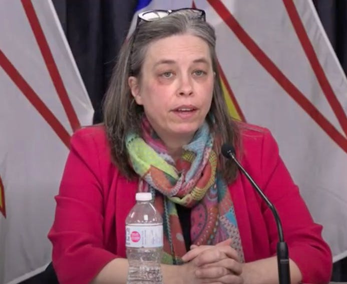 Chief Medical Officer of Health Dr. Janice Fitzgerald answers questions from the media Wednesday during the COVID-19 daily briefing. Screen grab