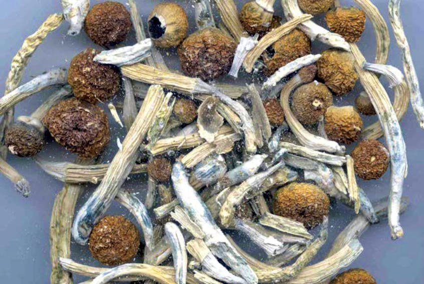 Psilocybin, first isolated from the Psilocybe mexicana in 1958, can be found naturally in more than 100 species of mushrooms worldwide. 