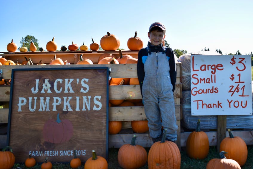 Jack Shaw, 7, stands in front of Jack's Pumpkins, a roadside stand he's operated (with a bit of help) since he was two. Jack will donated a quarter of his proceeds to the P.E.I. Humane Society this year.