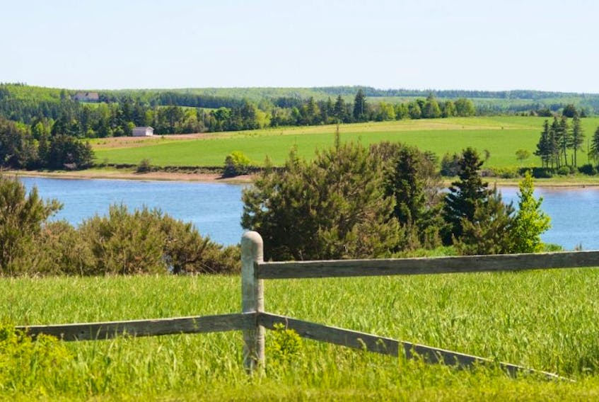 Signs of June’s beauty are around almost every corner of Prince Edward Island in this month, including this&nbsp; lovely vista near Stanley Bridge.
