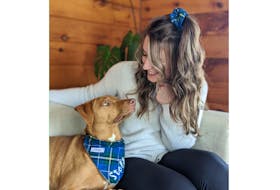 Amy Roberts and her dog Stella are a dynamic duo that started Stella and Co., a business that matches hand-made products for dogs and their owners.