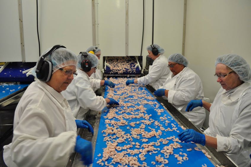 Fish plant workers in some regions of Atlantic Canada had a slow start to the season, or no work at all, because of the pandemic.