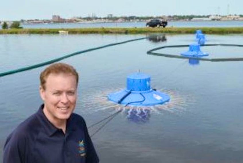 Stratford Mayor David Dunphy at town's lagoon where Blue Frogs deal with odour issue.