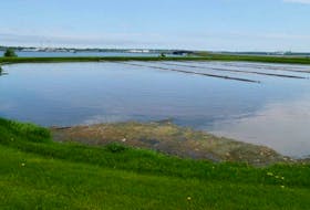 The Town of Stratford's sewage treatment lagoon