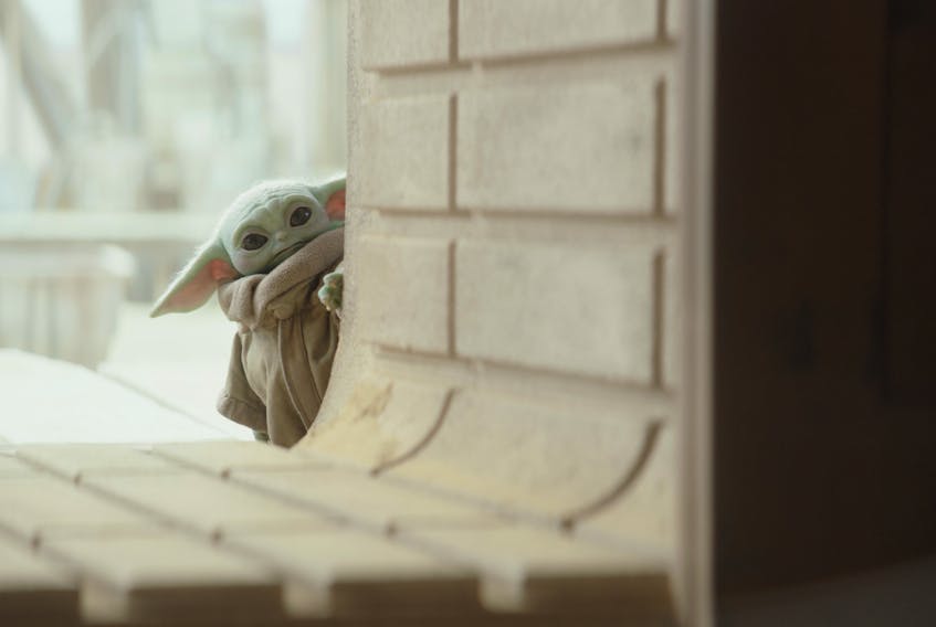Everyone’s favourite little, green alien The Child, better known as Baby Yoda, returns in Disney Plus’ flagship series The Mandalorian. The second season debuted on Oct. 30.  
DISNEY 