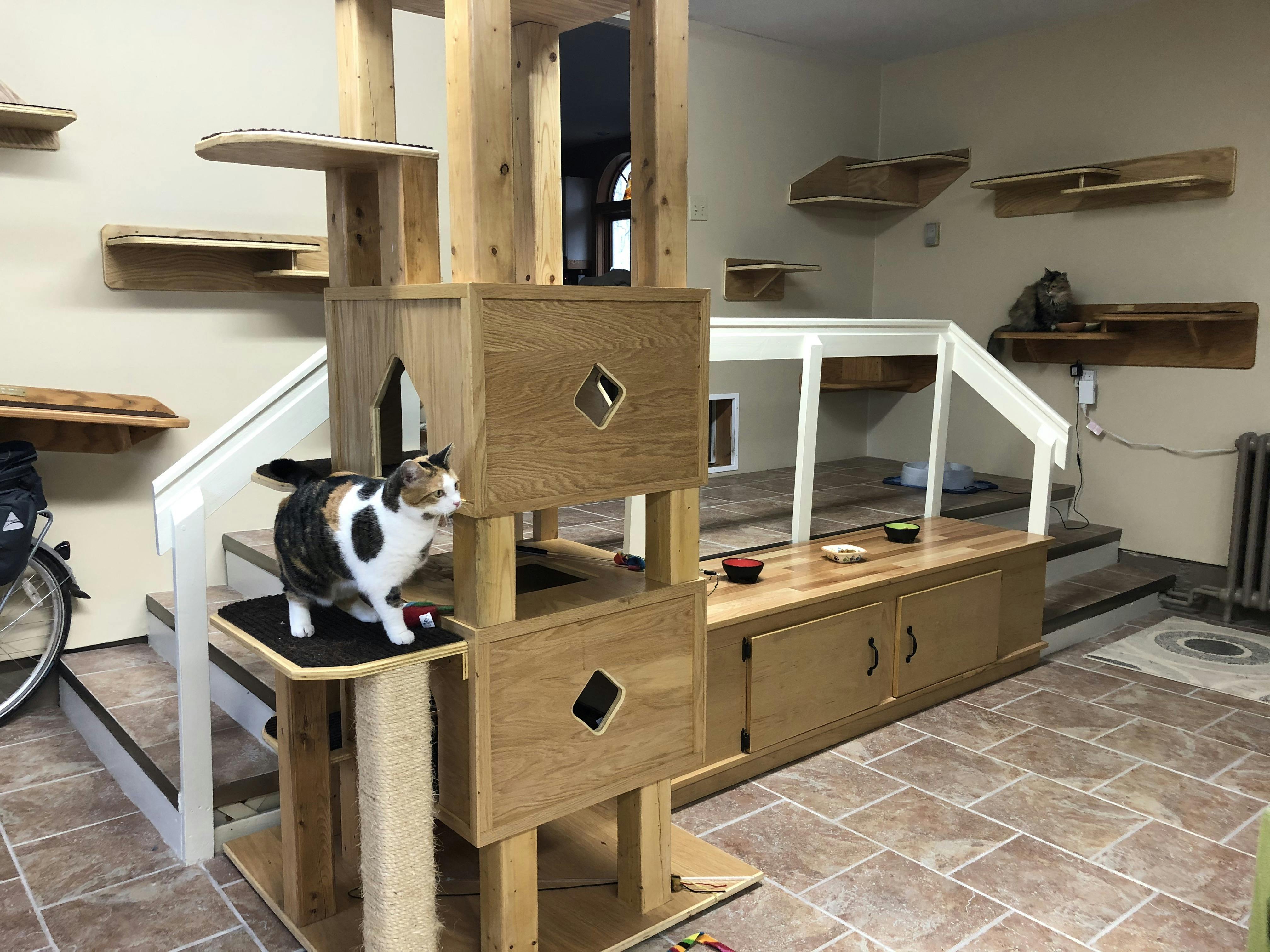 Garage litter clearance box enclosure