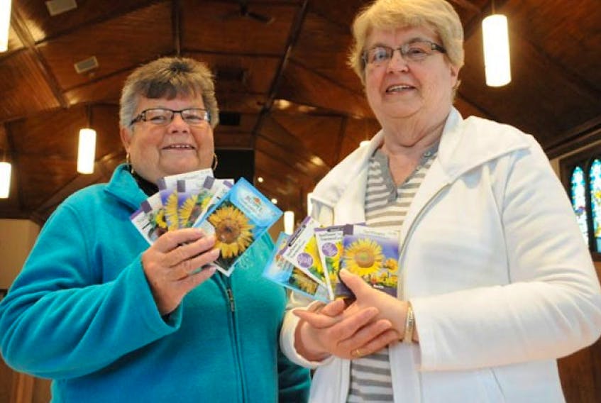 <p>United Church Women of Canada members Joyce Bridges and Elaine Harding hold up the many packages of sunflower seeds they’ve collected at Trinity United Church. The seeds are being sent to High River, Alta, as part of a reconstruction effort by the local Sunday school. Colin MacLean/Journal Pioneer</p>