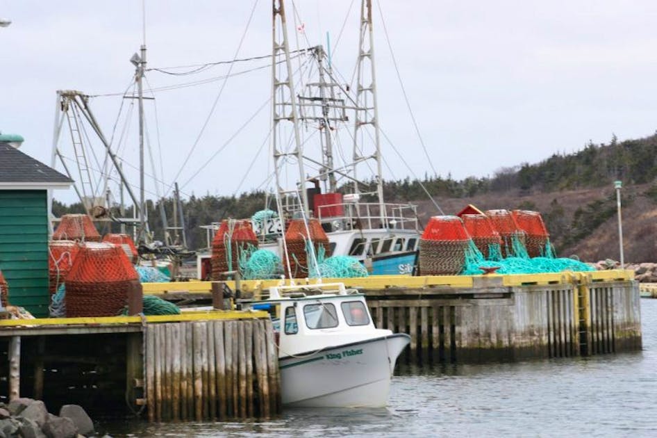 We got to go fishing': More Newfoundland crab boats set sail as