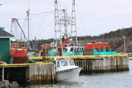 'We got to go fishing': More Newfoundland crab boats set sail as FFAW ramps up demands over prices and processing