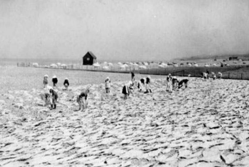 Women tend to fish on the beach on Grand Bank around 1940.