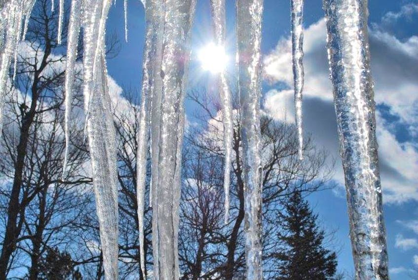 Richard Collis caught the January sun glistening off these icicles in Big Bras D'Or, Cape Breton, N.S. Last month's frequent freeze/thaw cycles created fleeting frozen works of art.