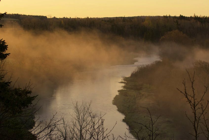 Bernice MacDonald watched as wispy morning fog rolled along the shores of the West River in Antigonish, N.S.