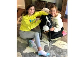 Claire Ford, left, and Violet Palmer with Tracy Jessiman's dog, Sheena. The youth are entrepreneurs with a focus on dogs and exercise. 