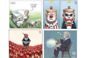 SaltWire cartoonists Michael De Adder and Bruce MacKinnon have spent the past four years satirizing a goldmine of material — U.S. President Donald Trump.
