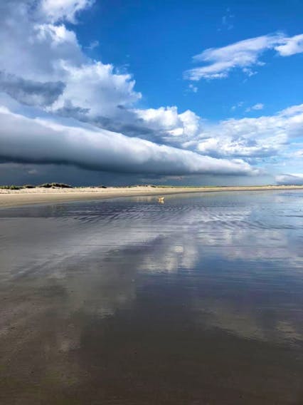 Barb Charteris was out for a stroll with sweet little Sophie when she looked up and was astonished to see this cloud rolling above Martinique Beach, on Nova Scotia’s eastern shore, last Tuesday. Barb said it was between 7 and 8 p.m.