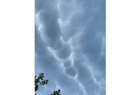 Last Saturday afternoon, Peggy Theriault was aware that a severe thunderstorm warning had been issued for Lunenburg County. She wasn't prepared for the "neat clouds" she spotted over her home in Bridgewater, N.S.