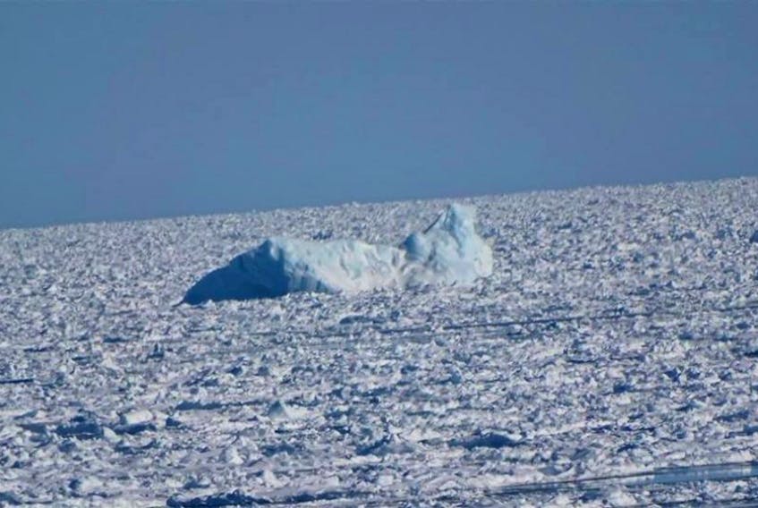 Facebook user Icebergs Goose Cove NL posted pictures of the first icebergs to show up in the area on Sunday.