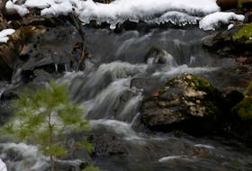 FOR CAMPBELL STORY:
Water flows from Williams Lake, as seen in Shaw Wilderness Park in Halifax Thursday January 28, 2021. 

TIM KROCHAK PHOTO