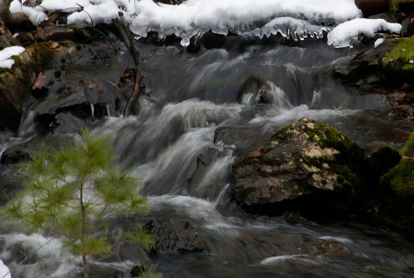 FOR CAMPBELL STORY:
Water flows from Williams Lake, as seen in Shaw Wilderness Park in Halifax Thursday January 28, 2021. 

TIM KROCHAK PHOTO