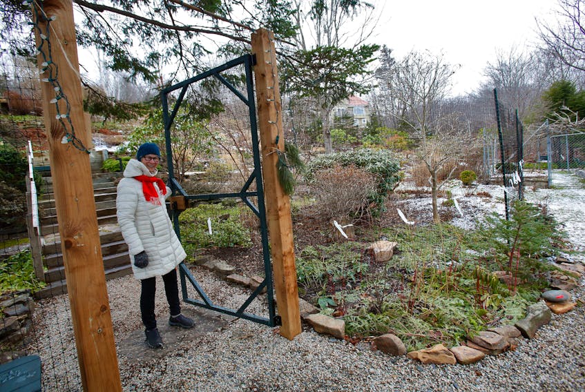 FOR CAMPBELL STORY:
Sheila Stevenson stands at the gate, of the newly constructed fence that surrounds her Ferguson's Cove Road Monday January 4, 2021. She says the local deer population has gotten out of control and needed the fences to protect her property and plants from the hungry animals.

TIM KROCHAK PHOTO