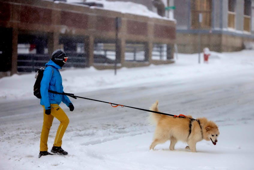 FOR STORM STORY:
A pedestrian and their dog cross Ochtorloney Street during a winter storm in Dartmouth Tuesday February 2, 2021.

TIM KROCHAK PHOTO