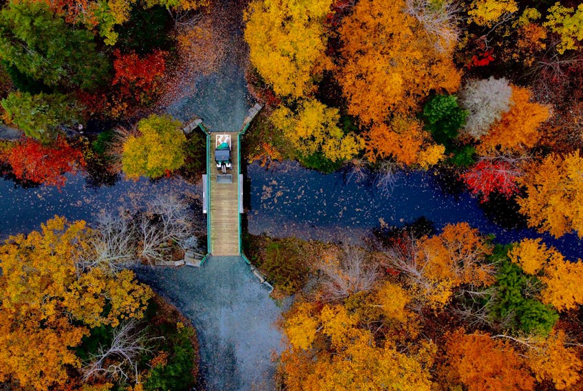 FOR LEAF ESSAY:
A parks worker drives their cart over a bridge over the canal in Shubie Park in Dartmouth  October 22, 2020.

TIM KROCHAK PHOTO