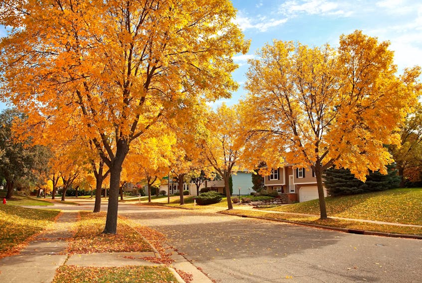 Buying a home this fall might give buyers an even greater advantage. - Photo 123RF