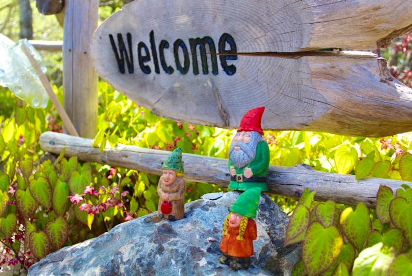 On June 20, a gnome quest is set as part of the MUN Botanical Garden’s ongoing 40th anniversary celebrations.