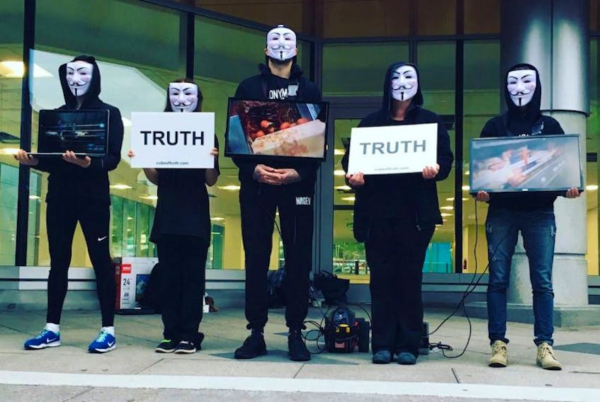 Protesters at a previous Cube of Truth event, complete with masks and black jumpers to ensure their anonymity.