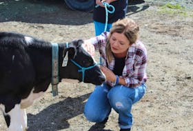 Christine Adams of Long Pond petted this calf at Woodland Farms in Goulds on Sunday during Open Farm Day NL.