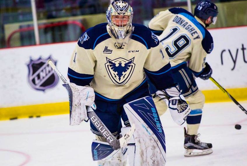 Goaltender Evan Fitzpatrick is heading to his second rookie training camp with the NHL’s St. Louis Blues, while fellow Newfoundlander Cody Donaghey (background), Fitzpatrick’s former teammate with the QMJHL’s Sherbrooke Phoenix, will attend rookie camp with the Ottawa Senators.