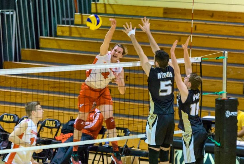 In this Nov. 5, 2016 file photo, Jordan Murray (4) of the Memorial Sea-Hawks goes high for a kill against the Dalhousie Tigers in AUS men’s volleyball in Halifax. Memorial has announced its men’s volleyball program, which has existed for a half century, is being dropped in a cost-cutting move.