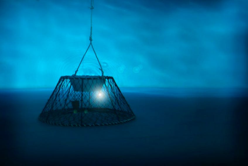 Lit traps were first tested in tanks, through a joint effort of the MUN Fisheries and Marine Institute, and the Department of Fisheries and Oceans.