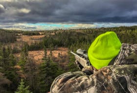 Big game licence applications have been automatically mailed to eligible hunters for participation in the provincial 2017 big game licence draw.