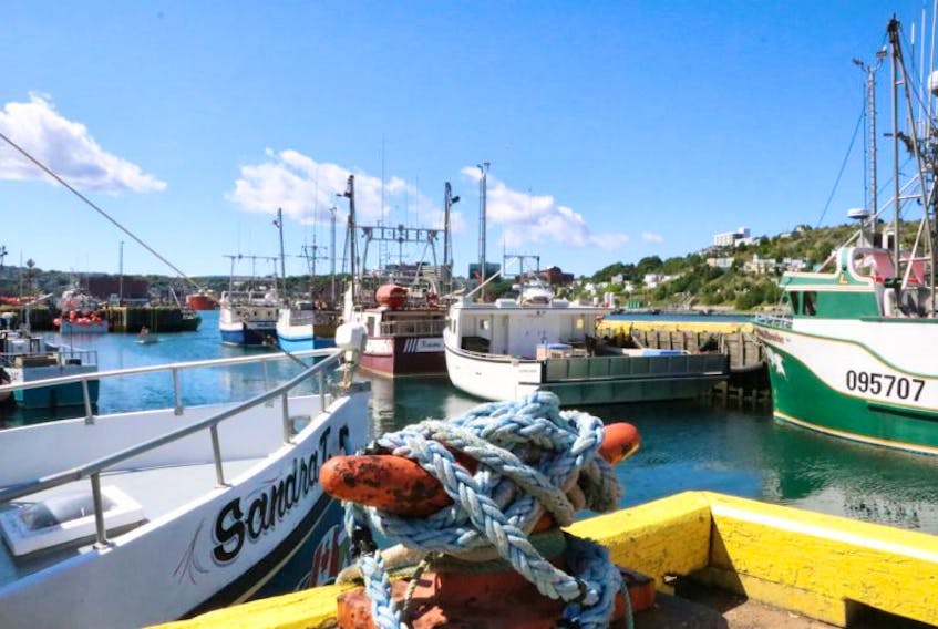 Fishing boats at St. John’s harbour Wednesday. Many fishermen are doubtful owner-operator and fleet separation policies can be enforced enough to be effective.