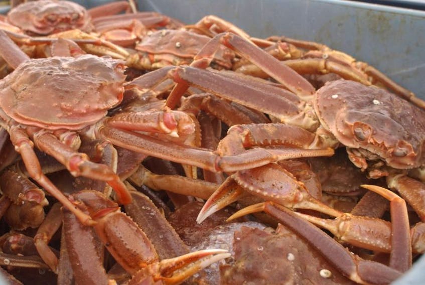An increase to the total allowable catch of crab in Newfoundland’s Southern Gulf region is just the latest development in what’s already a turbulent year for the industry.