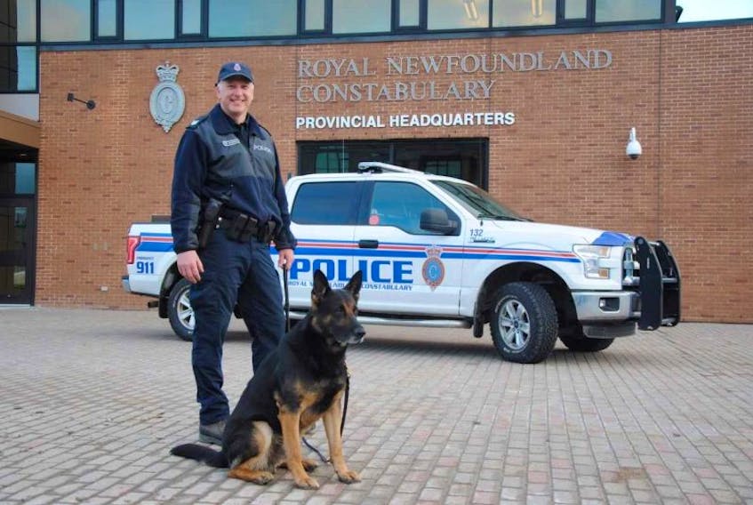 Royal Newfoundland Constabulary Sgt. Russell Moores and  police service dog Dyson.