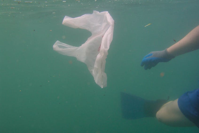 A plastic bag is found drifting underwater in Samoa in 2005 in this NOAA photo.