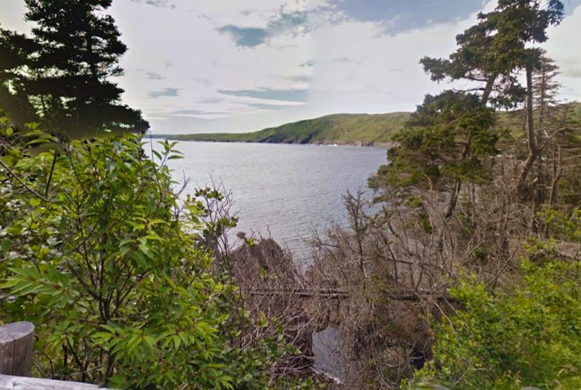 A section of the Nature Conservancy of Canada Maddox Cove section of the East Coast Trail which is now available on Google Street View.