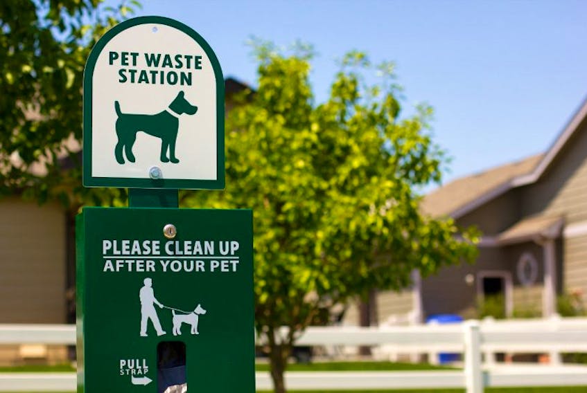 Who knew dog poop could have powerful potential?