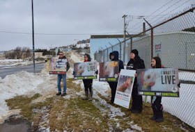 Members of the St. John’s Chicken Save group hold vigil outside Country Ribbon in St. John’s Saturday. 