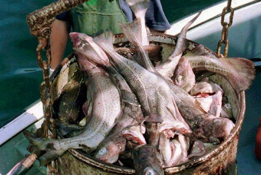 A bucket of codfish is loaded from a fisherman’s boat.