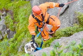 Firefighter Richard Hynes lifts Cobber, an Australian shepherd, up a cliff after the dog fell from the East Coast Trail Saturday afternoon. Keith Gosse/The Telegram