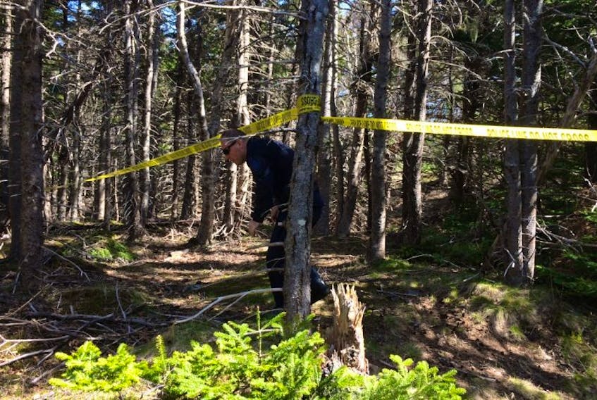 Royal Newfoundland Constabulary police dog handler Const. Kevin Morgan is shown in the woods as his police dog Edge was out searching the area off O'Brien's Farm Road in St. John's Wednesday morning. Human remains were found in the area Tuesday night.