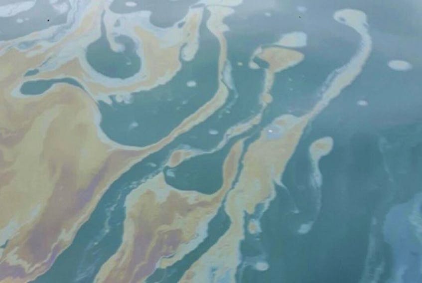An oil sheen is pictured on the water in the Witless Bay Ecological Reserve Friday.