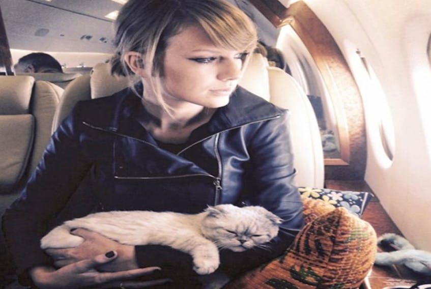 Taylor Swift’s cats are Meredith and Olivia.