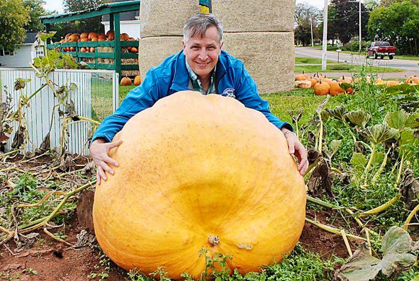 Glenn Holmes, bulb manager with Vesey’s Seeds, is shown in 2017 next to one of the giant pumpkins that was entered into the 2017 Giant Pumpkin and Squash Weigh Off. The weigh-in for the 25th annual event is set for Saturday, Oct. 7, 10 a.m. to 2 p.m.