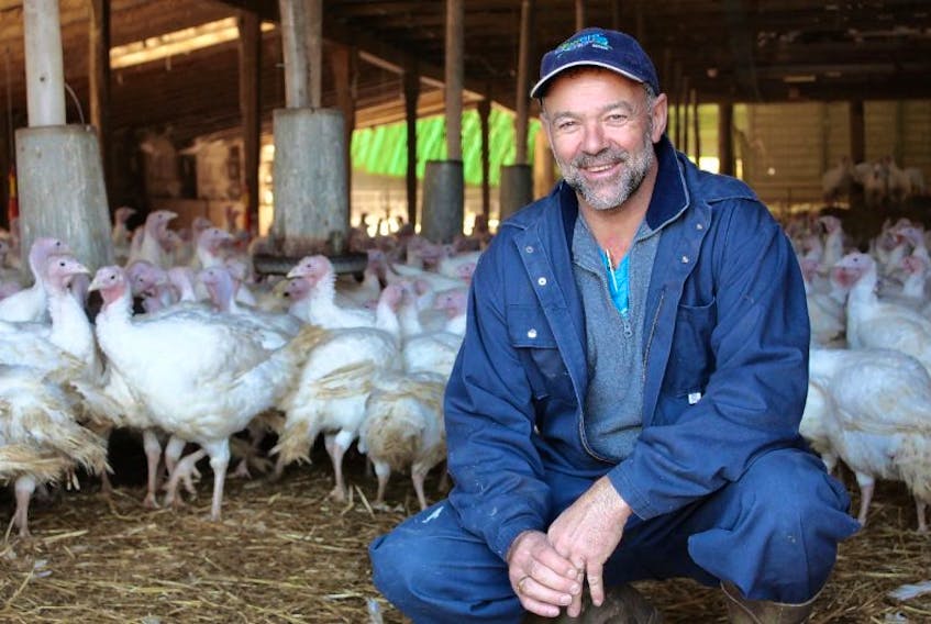 Paul Larkin, half of the Larkin Bros., is proud to produce local turkeys and process the meat on the Island.