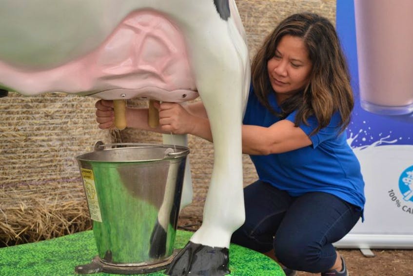 Edelaine Burgoyne, who is with the Dairy Farmers of P.E.I., demonstrates how to properly milk a cow on “Moonica”, the mechanical cow, as part of the recent Charlottetown Research and Development Centre open house.